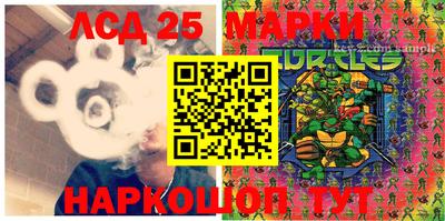 прущие грибы Будённовск