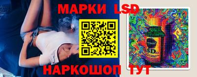 прущие грибы Будённовск