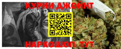 прущие грибы Будённовск