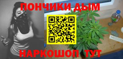 прущие грибы Будённовск
