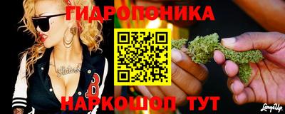 прущие грибы Будённовск