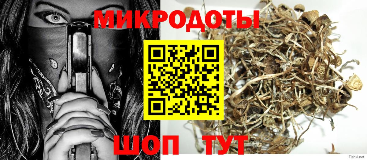 Верхняя Салда  Галлюциногенные грибы MAGIC MUSHROOMS  Вход с VPN  Псилоцибиновые грибы мицелий 