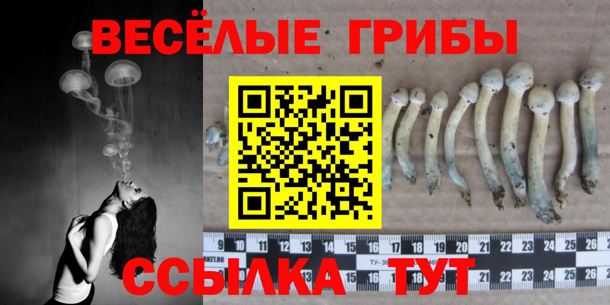 Псилоцибиновые грибы Psilocybe Верхняя Салда